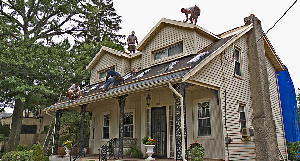 Best Metal Roofing Contractor  in Evergreen, MT